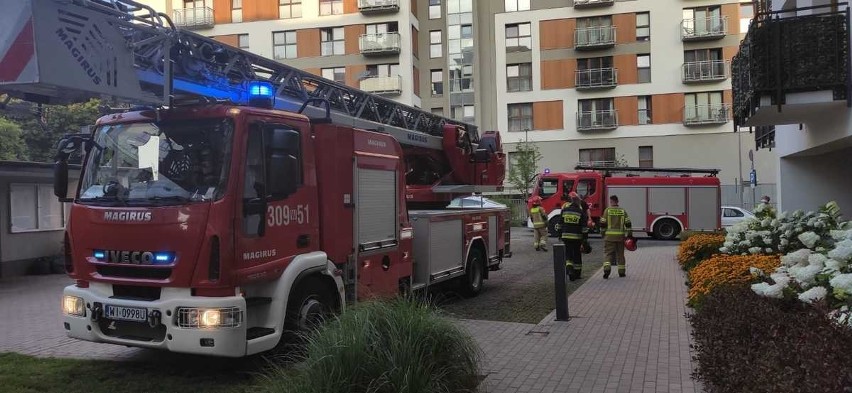 Lublin. Ma na koncie ponad 50 wyłudzeń pożyczek. Przed służbami ukrywał się... w domu 