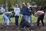 W Malborku posadzono 113 drzew w "elektrycznym lesie". To sadzonki, które miasto otrzymało za elektrośmieci, których górę oddali mieszkańcy