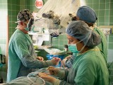 W Opolu zaczął się trzydniowy IX Zjazd  Naukowy Polskiego Towarzystwa Chirurgii Kręgosłupa 