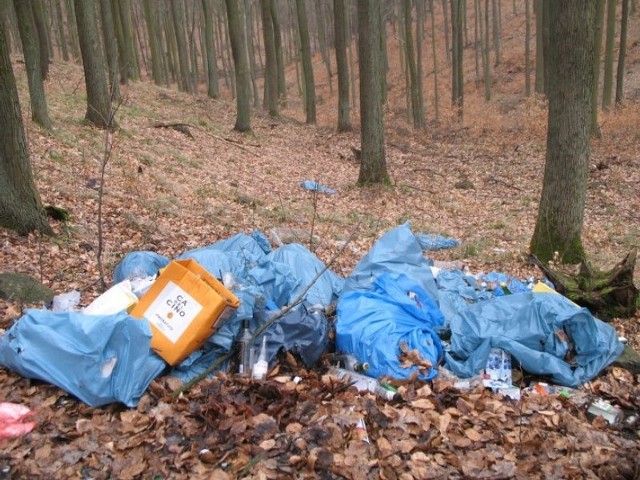 Wysypisko niemieckich śmieciWysypisko niemieckich śmieci na prawobrzezu.