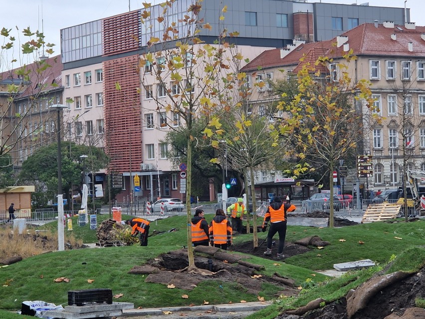 Robotnicy sadzą już drzewa i krzewy na placu przed dworcem...