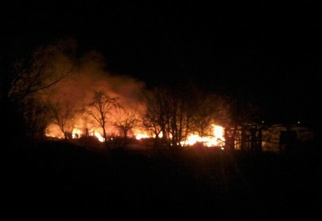 Pożar na ogródkach na Osiedlu Kasztanowym w Szczecinie.