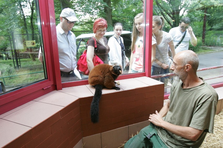 Śląski Ogród Zoologiczny od kuchni