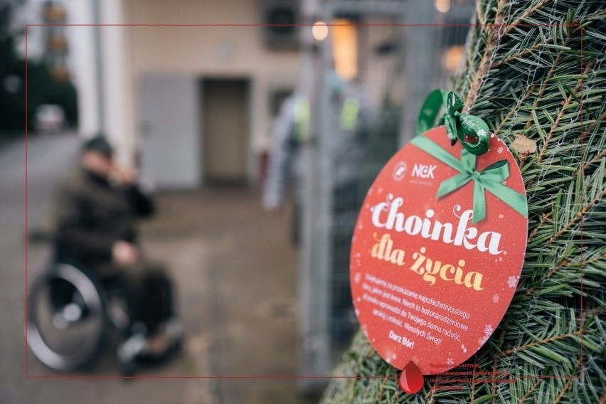 Akcja "Choinka dla życia" odbędzie się 15 grudnia w RCKiK we...