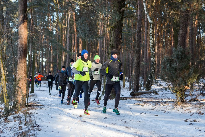 Najzimniejszy bieg w historii cyklu City Trail