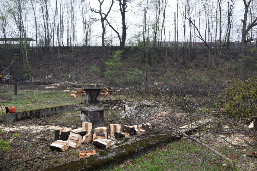 Rybnik: Wycięli park przy dawnym kinie Hutnik