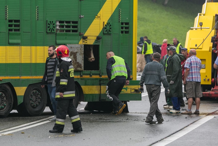 Wypadek w Bochni na DK 94. Nie żyją dwie osoby [ZDJĘCIA, WIDEO]