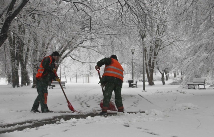 Zima wróciła do Rzeszowa. Zobaczcie zaśnieżone miasto w...