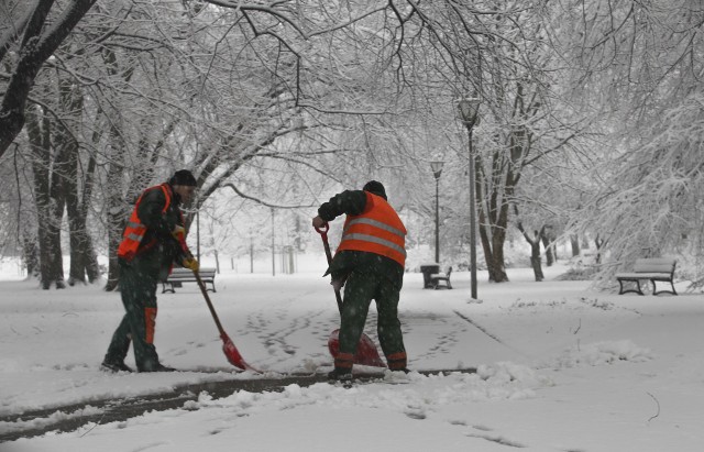 Zima wróciła do Rzeszowa. Zobaczcie zaśnieżone miasto w poniedziałek rano.