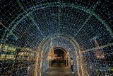 Forum Gdańsk przystrojone na święta Bożego Narodzenia. Rozświetlona choinka i iluminacje w Forum. Zdjęcia