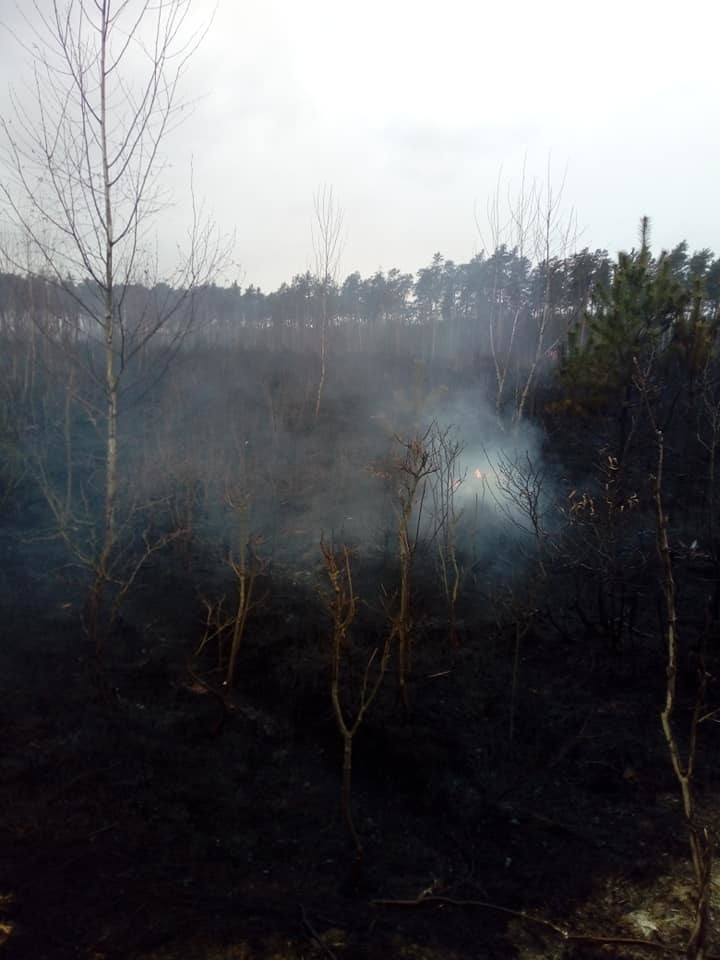 Gigantyczny pożar pod Augustowem. Spłonęło 10 hektarów lasu.