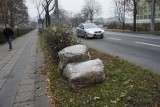 W Poznaniu rozpoczyna się odbiór spadających liści, ale tylko z chodników przy posesjach