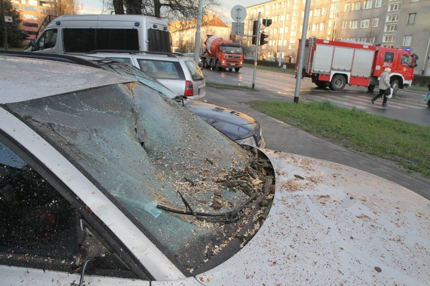 Wichura na Dolnym Śląsku. Jest śmiertelna ofiara wiatru (WASZE ZDJĘCIA)