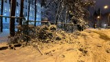 Atak zimy w Białymstoku 26-27.01.2020. RAPORT. Połamane drzewa, zablokowane tiry, uszkodzone autobusy (zdjęcia)