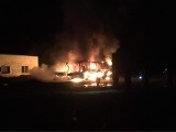 Nocny pożar autobusów pod Bydgoszczą. "To było podpalenie" [zdjęcia]