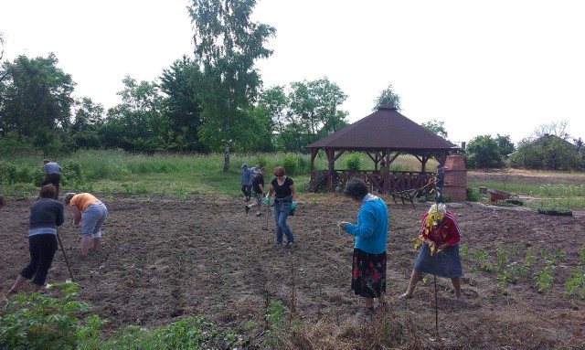 Uczestnicy przygotowali teren pod ekologiczne uprawy.