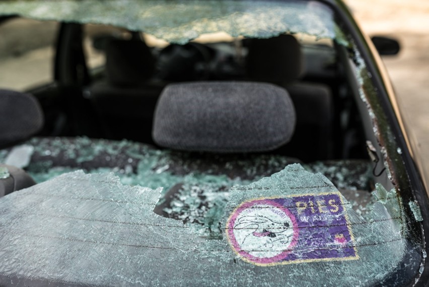 Ekolodzy zaatakowani kijami bejsbolowymi w Nadleśnictwie Bircza. Policja otrzymała zawiadomienie [ZDJĘCIA]