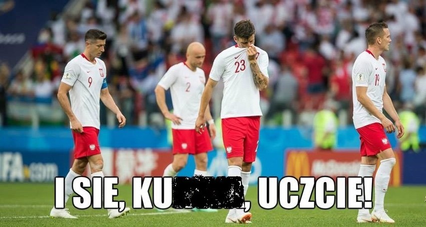 Polska - Brazylia MEMY 3:0. Polska MISTRZEM ŚWIATA. MEMY po...