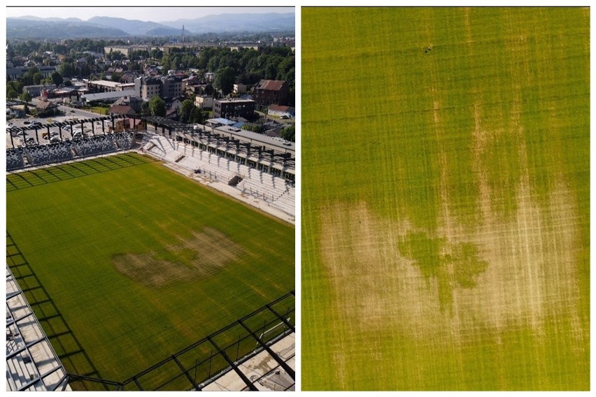 Czy tak faktycznie wygląda murawa na stadionie Sandecji?