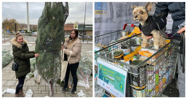 Akcja "Karma wraca w Kędzierzynie-Koźlu.