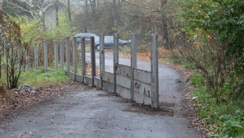 Mur wyrósł w ciągu godziny na samym środku leśnej drogi z...