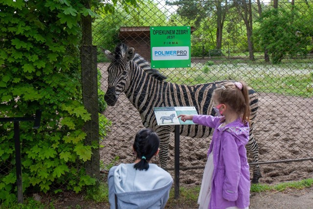 Bydgoskie zoo w Myślęcinku już otworzyło się na zwiedzających.