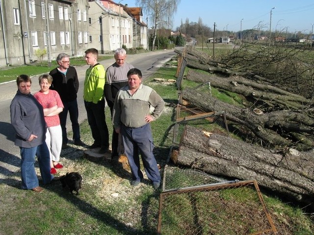 Mieszkańcy w piątek będą czekać na ulicy Kolejowej na radnych. Chcą na nich wymóc wstrzymanie wycinki drzew. 