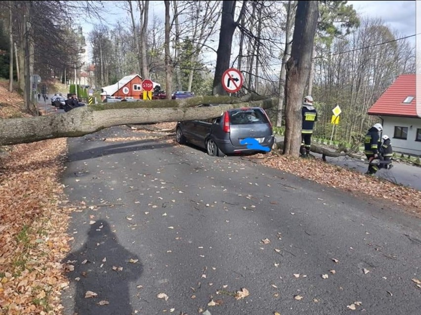Drzewo spadło na samochód w Kalwarii Zebrzydowskiej, tuż koło klasztoru