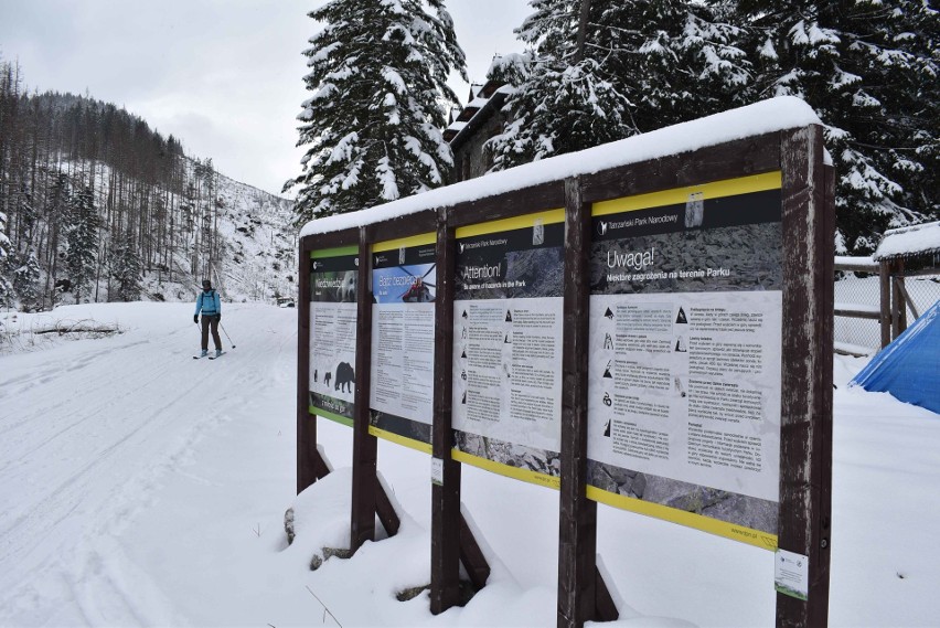 Tatry. Miejscowi spędzają niedzielę na nartach. To jednak garstka ludzi  