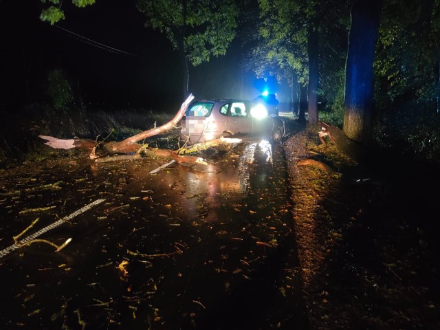 Na drodze z Łęczycy do Kłodawy leżało powalone drzewo, w które uderzyło auto osobowe