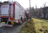 Zakopane: zgłosili pożar domu, a płonęło ognisko [ZDJĘCIA]