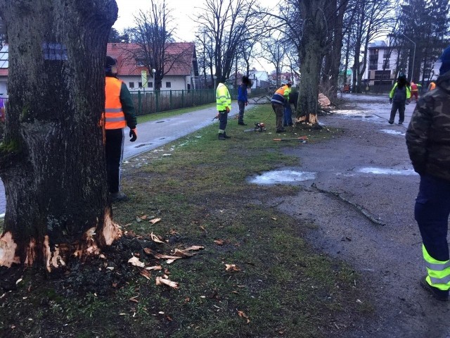 W styczniu w Mielnie ekipa drwali wycięła przydrożne drzewa. Remont drogi zacznie się prawdopodobnie po wakacjach