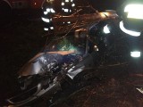 Wypadek na drodze wojewódzkiej nr 168 niedaleko Mostowa (ZDJĘCIA) 