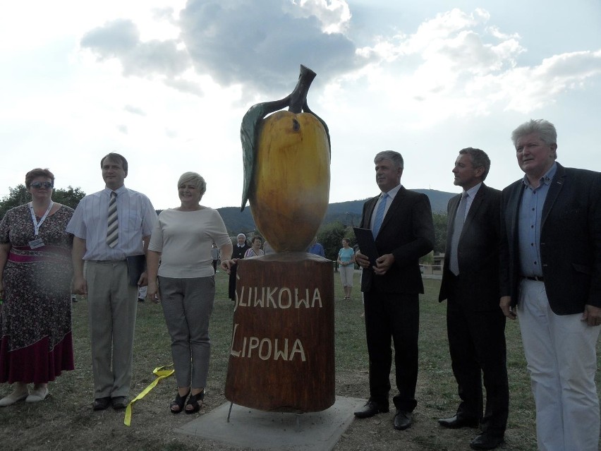 Jedyny w Polsce pomnik śliwki odłonięty [ZDJĘCIA] Święto śliwki 2015 w Lipowej