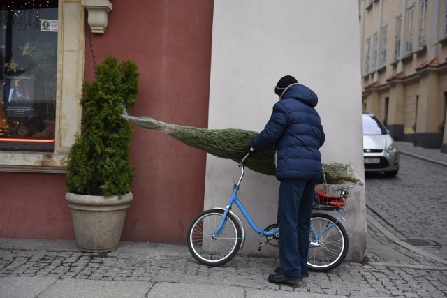 Koszt choinki z wypożyczalni jest najczęściej o około połowę mniejszy niż zakup nowego drzewka. Wypożyczając choinkę musimy zwrócić ją w stanie nienaruszonym. Cena często zależy od rodzaju i wielkości drzewka.