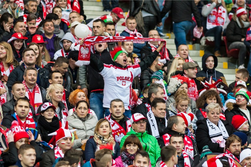 Kibice dopingują reprezentację Polski
