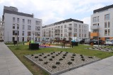 Nowe osiedle mieszkaniowe w Katowicach. To Nowe Ptasie w Brynowie. Powstało w pobliżu Katowickiego Parku Leśnego