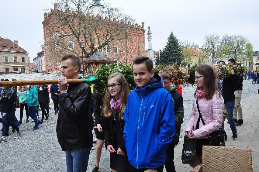 Niedziela Palmowa w Sandomierzu z imponującymi palmami 