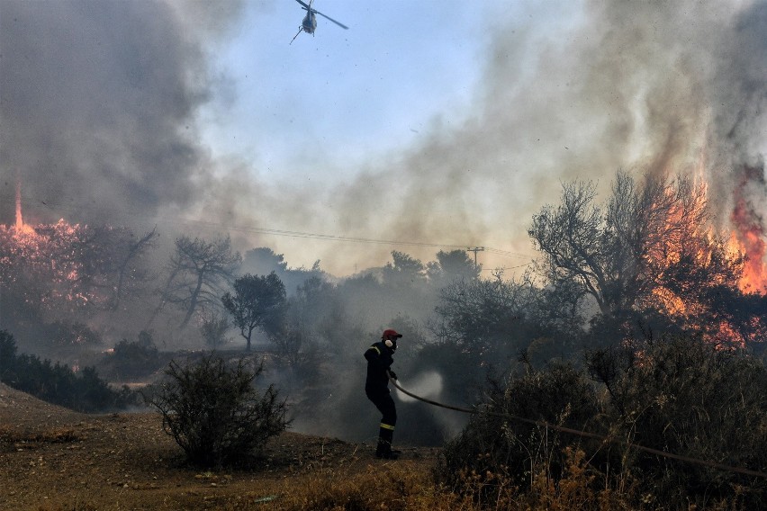 Pożary lasów w Grecji. Polska wyśle strażaków na pomoc