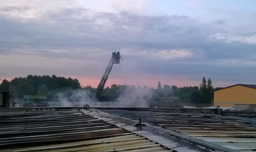 Pożar w Konstantynowie Łódzkim. Ktoś podpalił siłownię i hurtownię kwiatów [zdjęcia]
