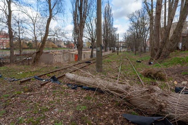 Bydgoszcz zaczęła pozimowe porządki. Na ul. Toruńską - jak widać - ekipy sprzątające jeszcze nie dotarły...