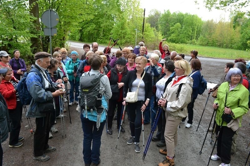 Bielsko-Biała: seniorzy włączyli się w ogólnopolski marsz UTW 2015 [ZDJĘCIA]