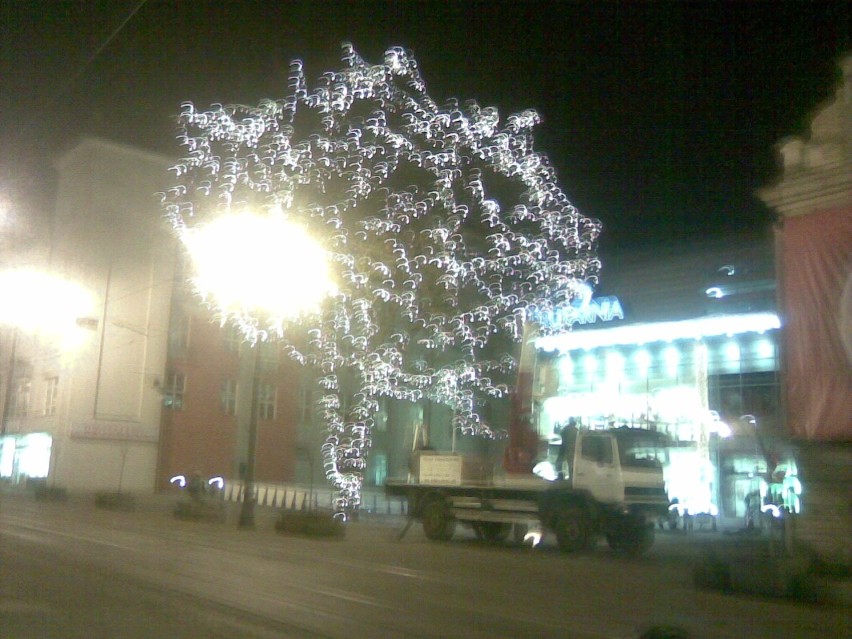 Pięknie oświetlone drzewo przed galerią "Drukarnia" w Bydgoszczy - zdjęcie od Czytelniczki