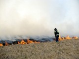 Znowu płonęły trawy koło Skwierzyny (zdjęcia)