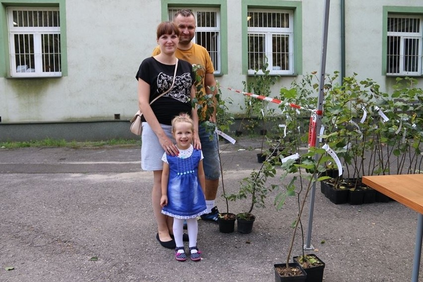 Starachowiczanie wymienili odpady na kilkaset drzewek. Wielka akcja na 100 lecie Niepodległości