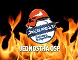 Jednostka OSP - aktualne wyniki głosowania