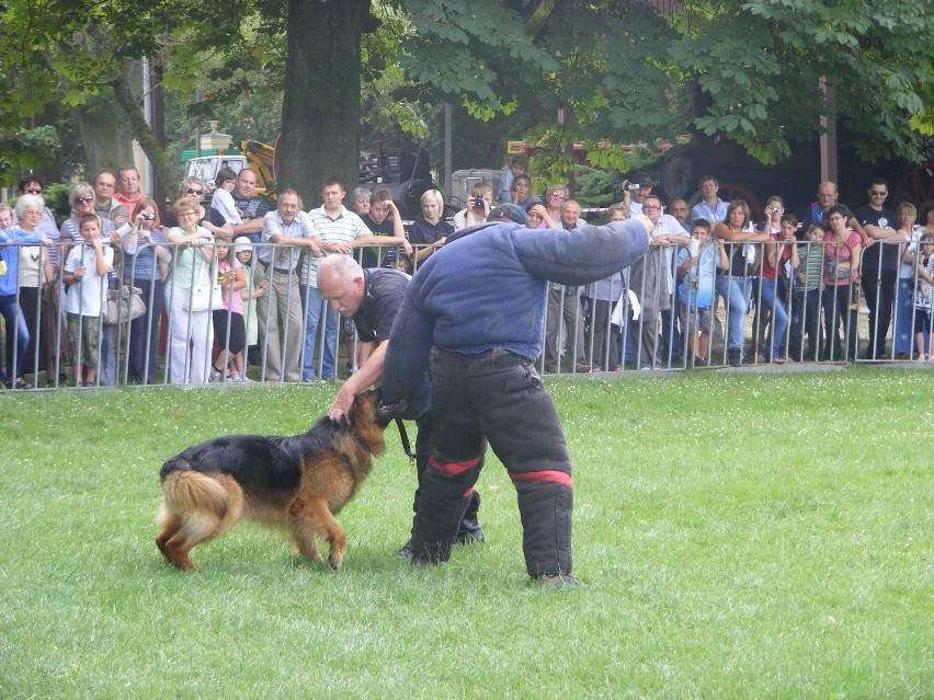 Pokaz tkania, pracy maszyn rolniczych a także tresury psów...