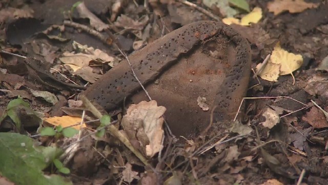 Grzegorz Kwiatkowski, który natrafił w lesie na przedmioty należące do więźniów, jest zdania, że buty należy odkopać i wyeksponować lub zabezpieczyć i schować.