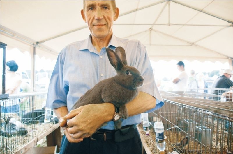 Hodują króliki, bo to ich wielka pasja | Gazeta Współczesna