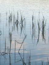 Tragedia rodziny z Ostrołęki na jeziorze Bełdany. Ojciec nie zdążył pomóc 10-letniemu synowi 